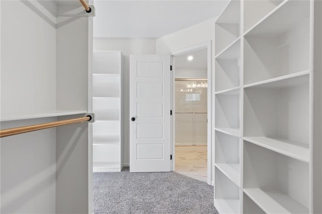 walk in closet featuring carpet flooring