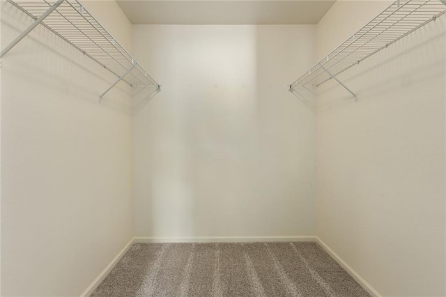 walk in closet with carpet