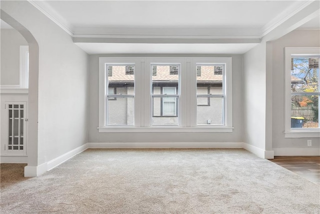 empty room featuring plenty of natural light, light colored carpet, and ornamental molding