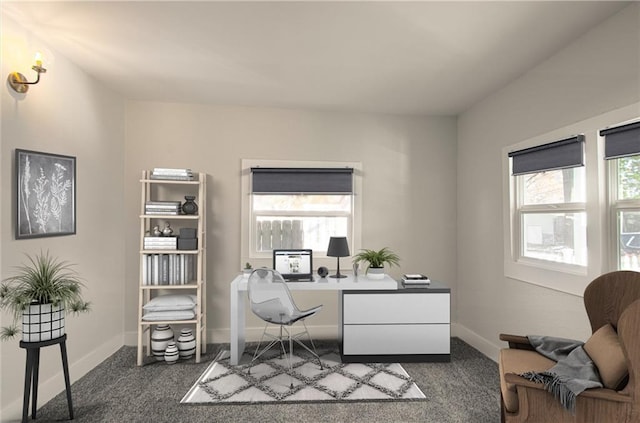 carpeted office featuring a wealth of natural light