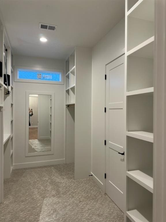 spacious closet with carpet