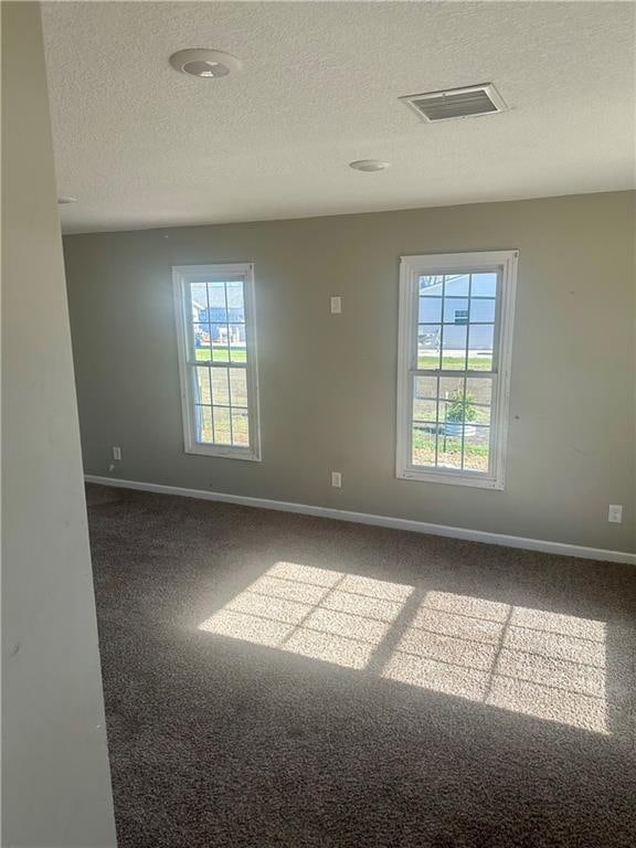 empty room with a textured ceiling, carpet floors, and plenty of natural light