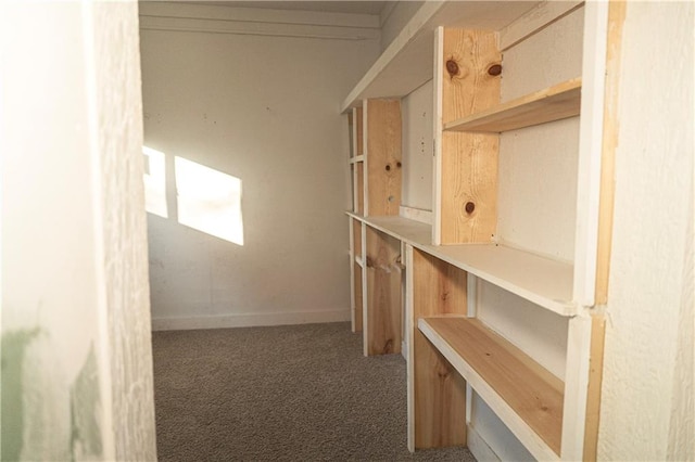 spacious closet featuring dark carpet