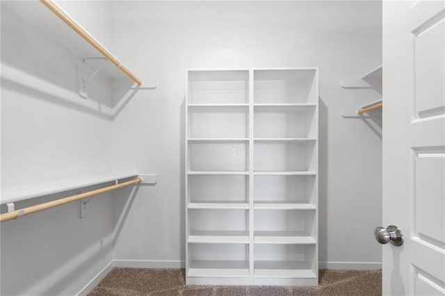 spacious closet with carpet floors