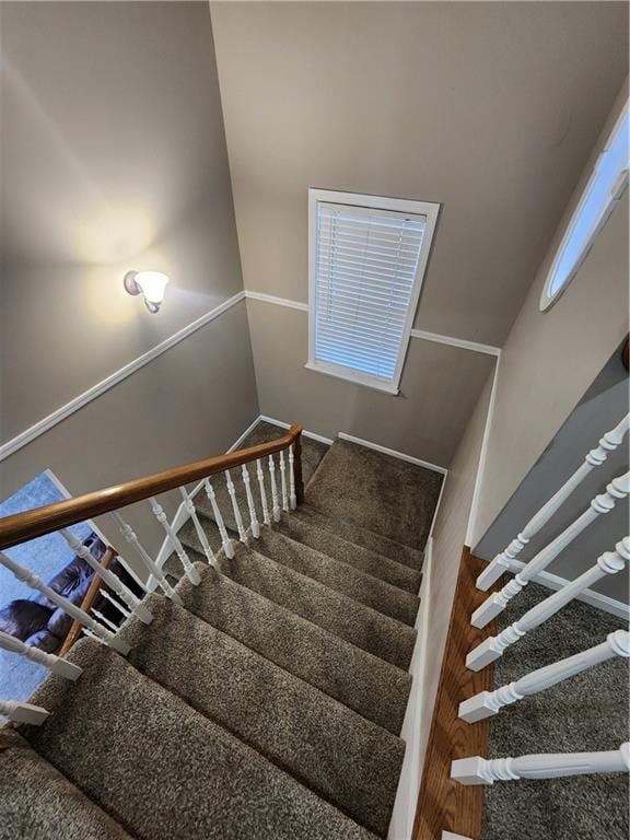 stairway featuring carpet floors