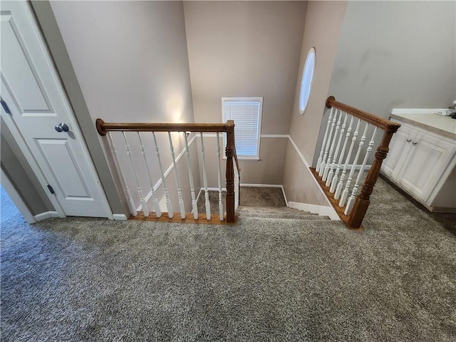 stairs featuring carpet floors