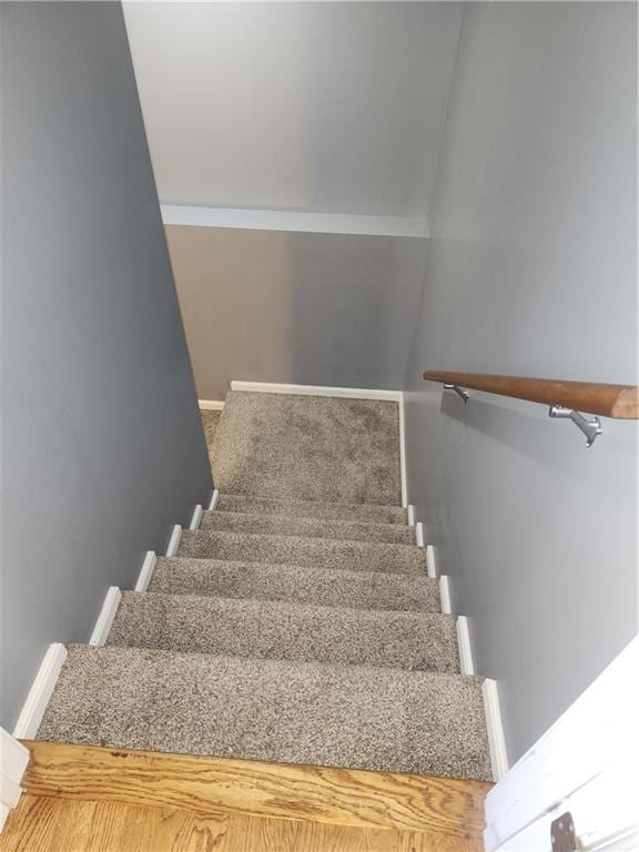 staircase with carpet