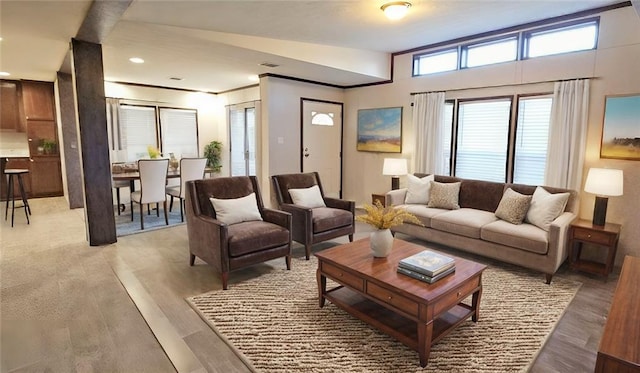 living room with light hardwood / wood-style flooring