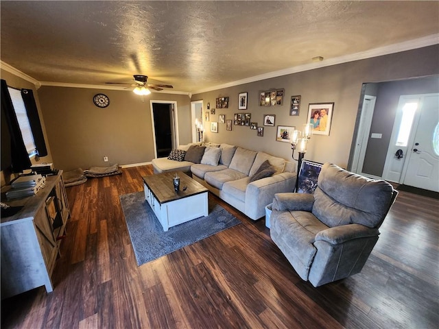 living room with ceiling fan, a textured ceiling, dark hardwood / wood-style floors, and crown molding