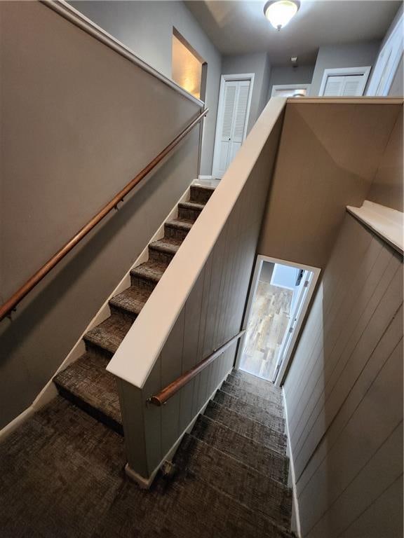 staircase featuring carpet