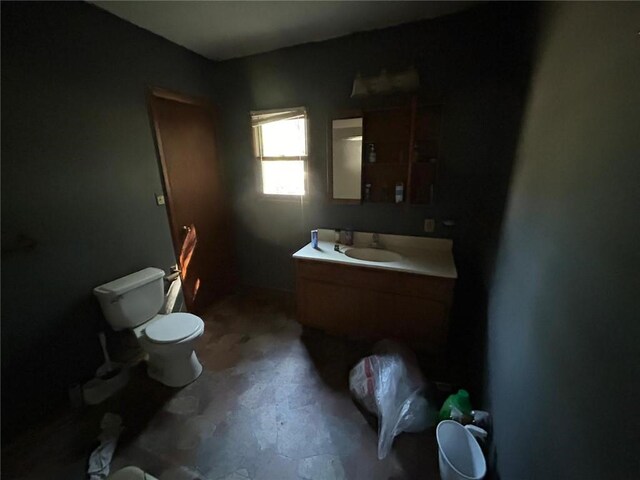 bathroom with toilet and vanity