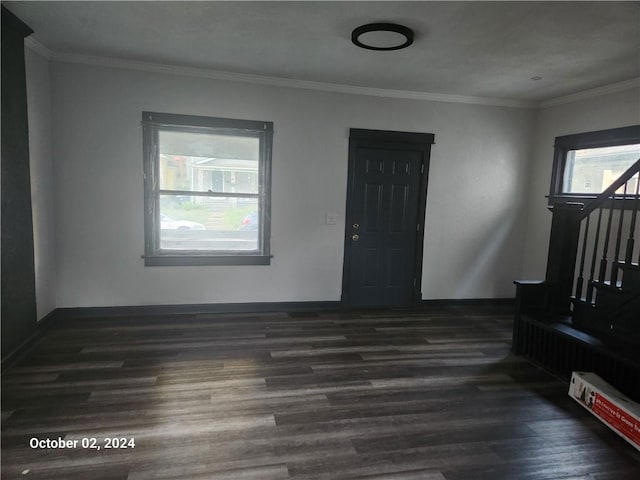 foyer featuring dark hardwood / wood-style floors and crown molding