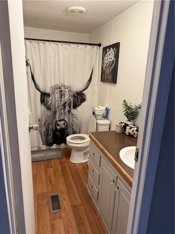 bathroom featuring toilet, hardwood / wood-style floors, vanity, and a textured ceiling