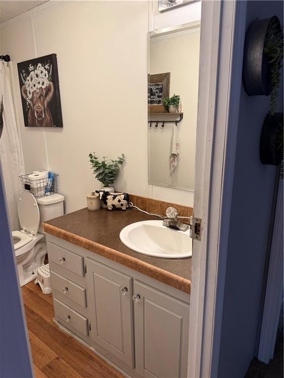 bathroom with wood-type flooring, vanity, and toilet