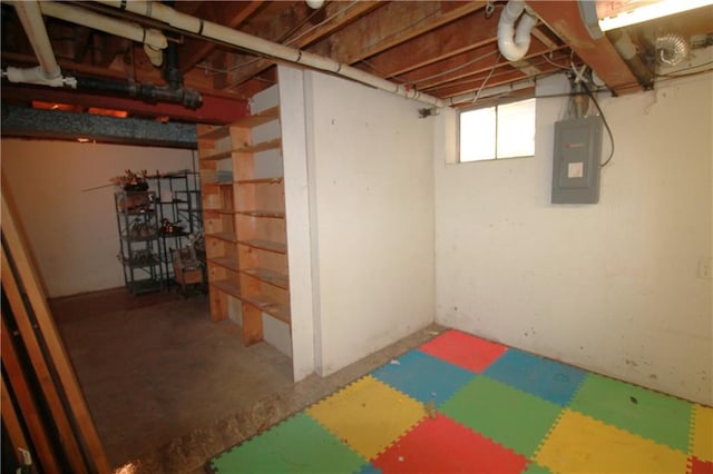 basement with electric panel