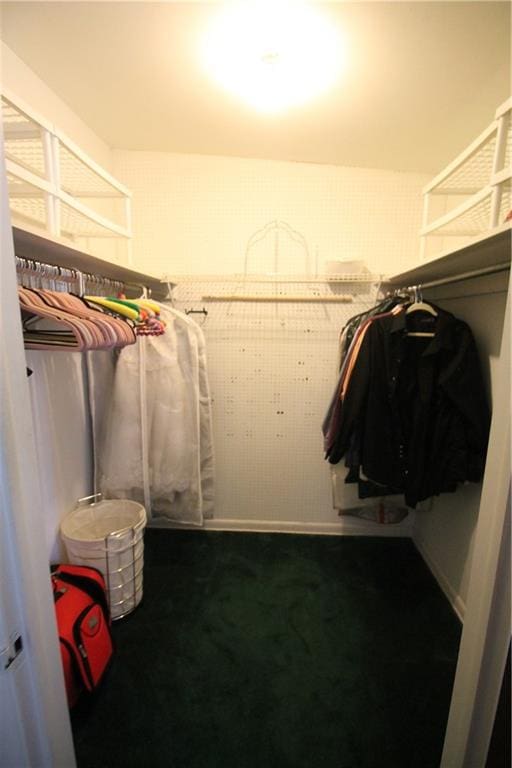 spacious closet featuring carpet