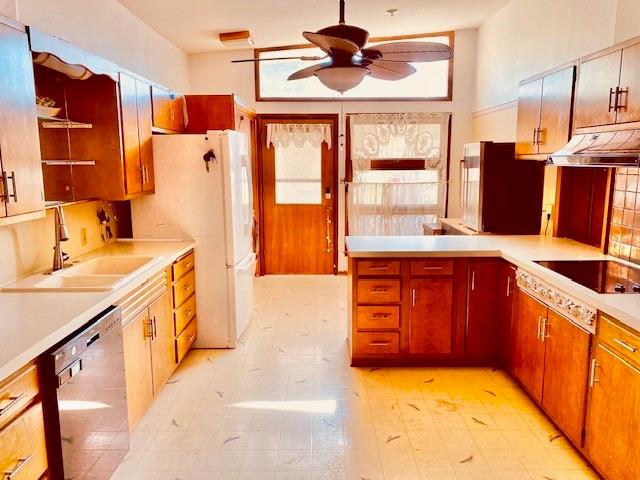 kitchen featuring black electric cooktop, decorative backsplash, sink, stainless steel dishwasher, and ceiling fan