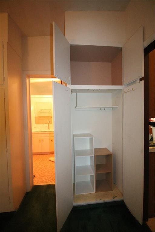 view of closet