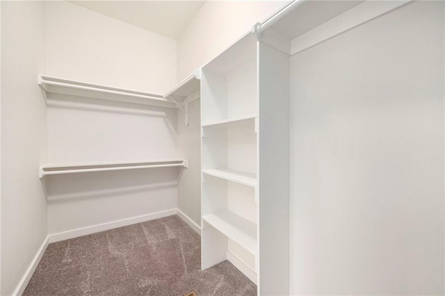 walk in closet featuring carpet flooring