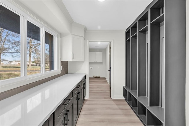 mudroom with light hardwood / wood-style flooring and ornamental molding