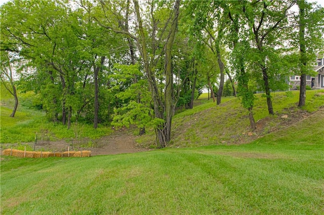 1551 Oakwood Ln, Liberty, MO 64068 - photo 3