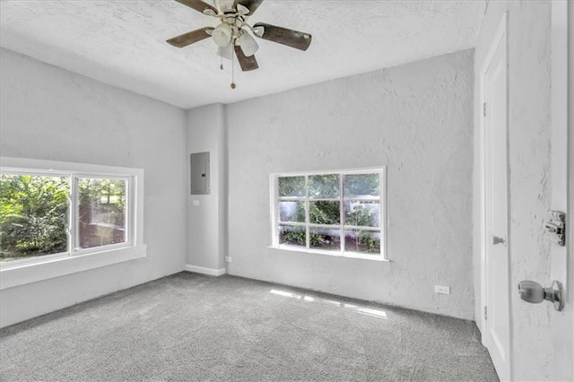 9043 Walnut St, Kansas City, MO 64114 - carpeted empty room with electric panel, a ceiling fan, a textured ceiling, and a textured wall