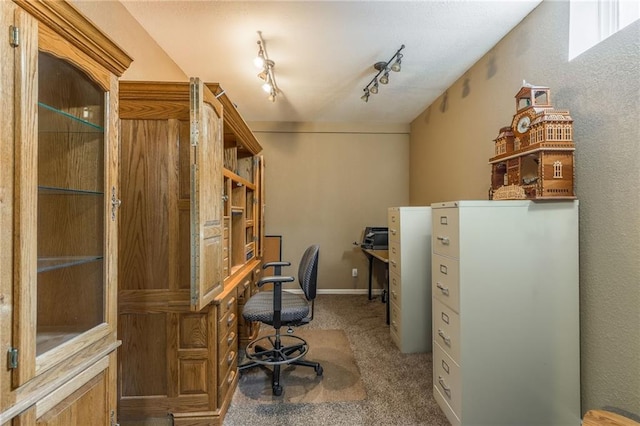 office space with rail lighting and carpet flooring