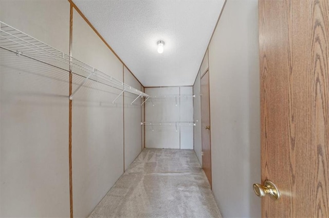 walk in closet with light colored carpet and lofted ceiling