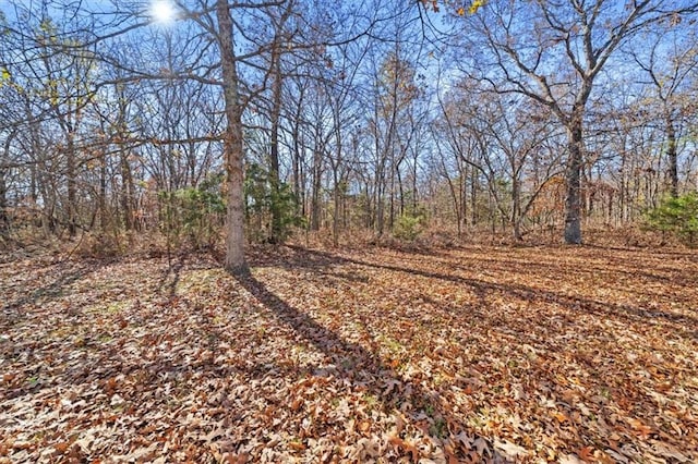 view of local wilderness