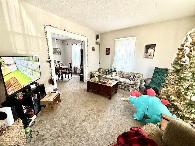 carpeted living room featuring a textured ceiling