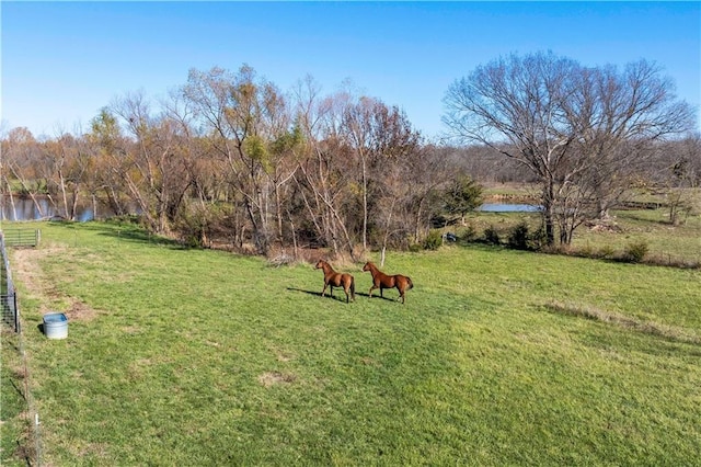 view of yard featuring a water view and a rural view