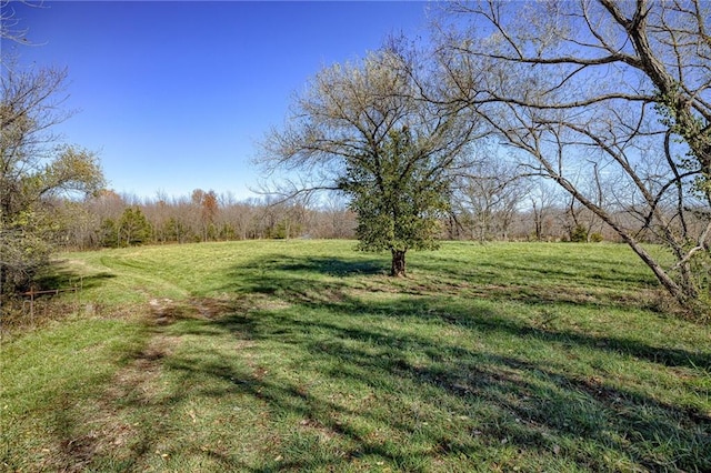 view of yard with a rural view