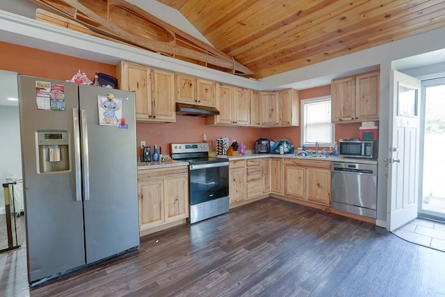 kitchen featuring light brown cabinets, lofted ceiling, and appliances with stainless steel finishes