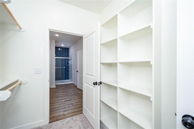 walk in closet featuring light carpet