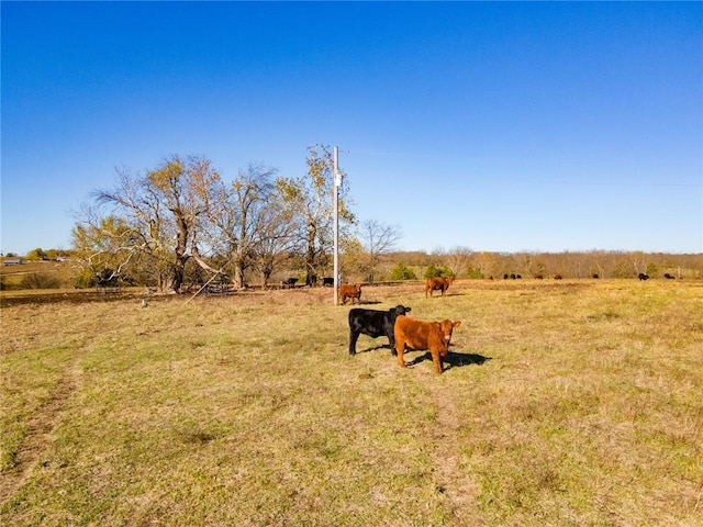 Listing photo 3 for TBD 83 Highway, Wheatland MO 65779