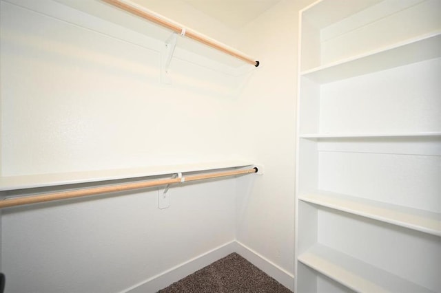 walk in closet with carpet flooring