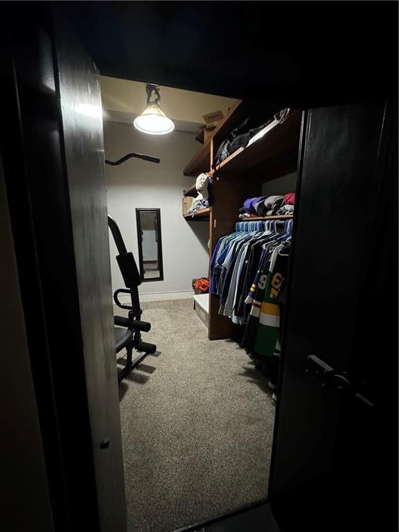 walk in closet featuring carpet floors