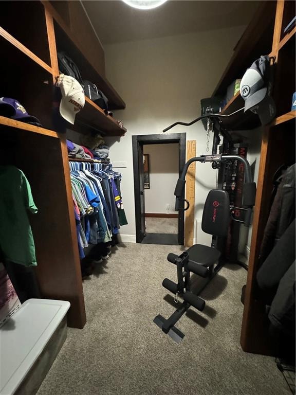 walk in closet with carpet floors