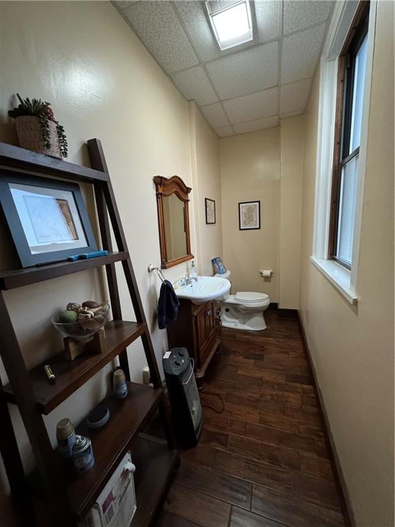 bathroom with wood-type flooring, vanity, toilet, and a drop ceiling