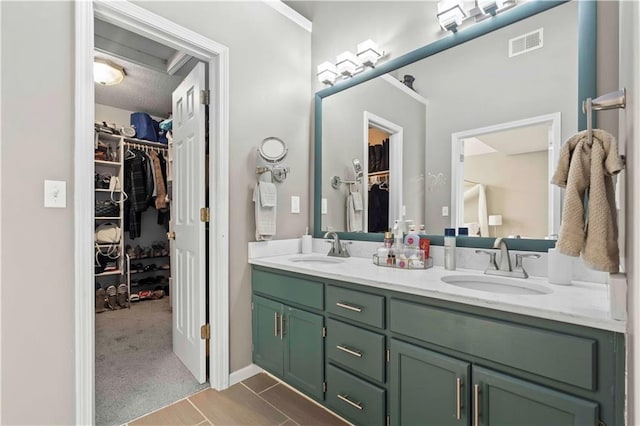 bathroom with vanity