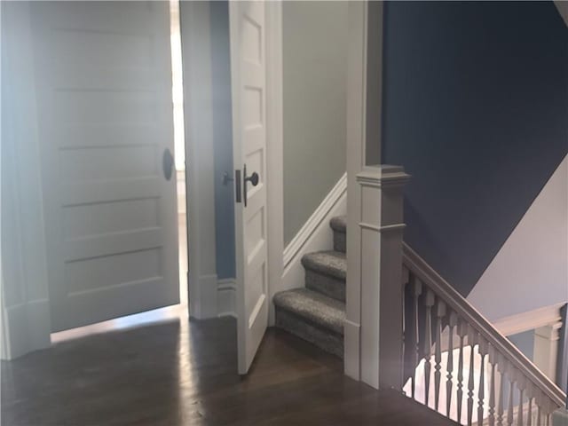 entryway featuring dark hardwood / wood-style flooring