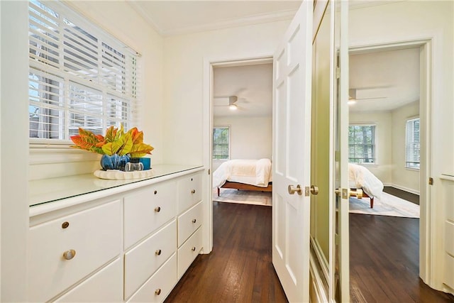 corridor featuring crown molding and dark hardwood / wood-style floors