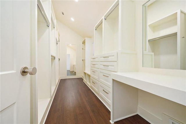 walk in closet featuring dark hardwood / wood-style flooring