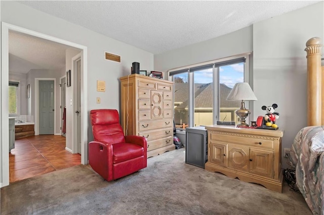 living area featuring carpet flooring and a textured ceiling