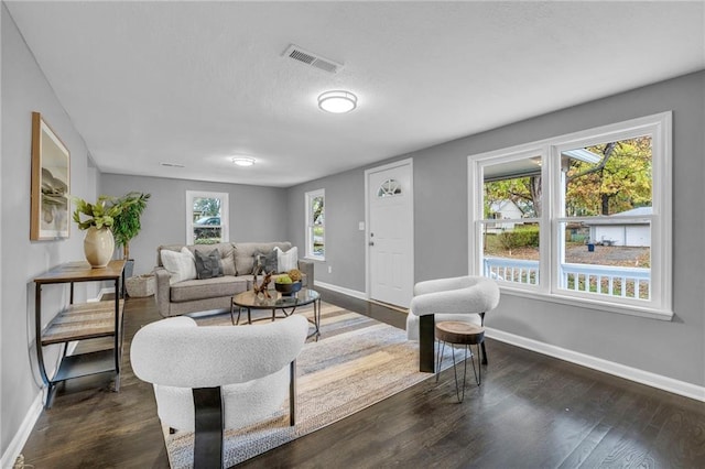 living room with dark hardwood / wood-style flooring and plenty of natural light