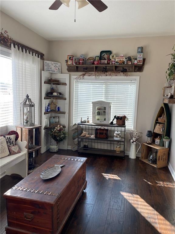 living room featuring ceiling fan and dark wood-type flooring