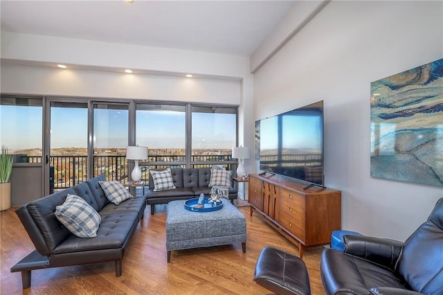 living room featuring hardwood / wood-style floors