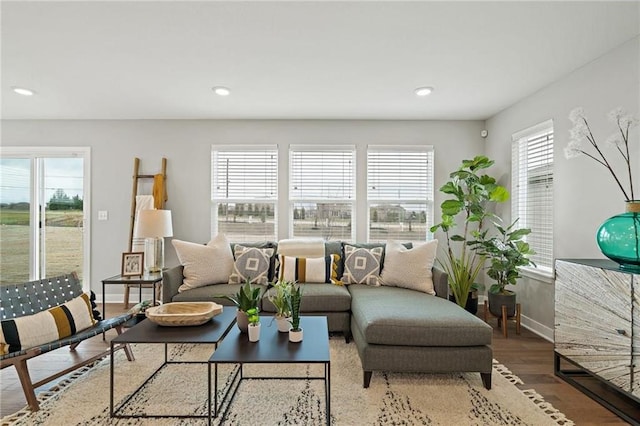 living room featuring hardwood / wood-style floors