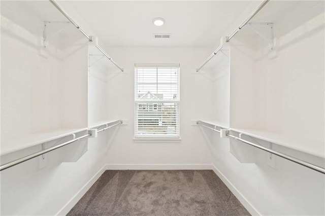 spacious closet featuring carpet