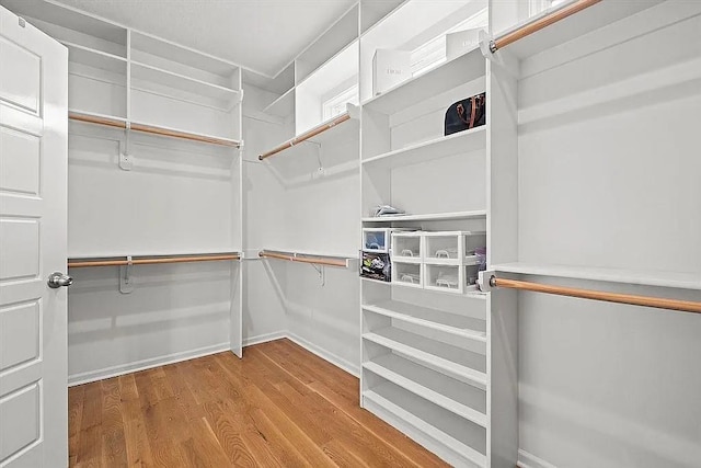 spacious closet featuring light wood-type flooring